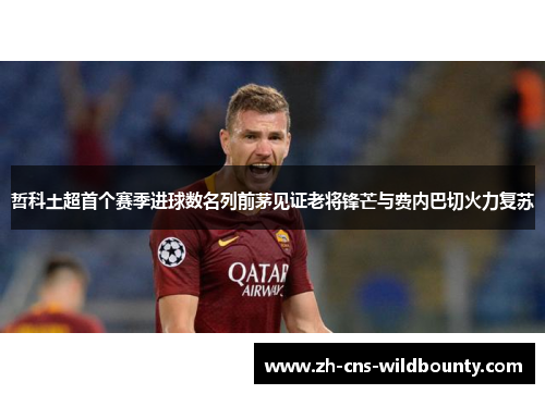 哲科土超首个赛季进球数名列前茅见证老将锋芒与费内巴切火力复苏