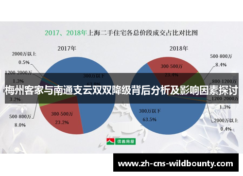 梅州客家与南通支云双双降级背后分析及影响因素探讨 梅州客家与南通支云双双降级背后分析及影响因素探讨