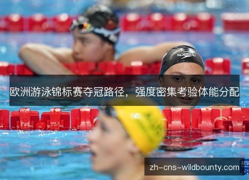欧洲游泳锦标赛夺冠路径,强度密集考验体能分配 欧洲游泳锦标赛夺冠路径,强度密集考验体能分配